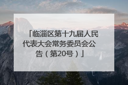 临淄区第十九届人民代表大会常务委员会公告（第20号）