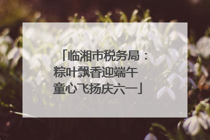 临湘市税务局：粽叶飘香迎端午 童心飞扬庆六一