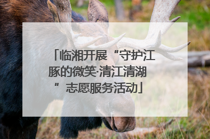 临湘开展“守护江豚的微笑·清江清湖”志愿服务活动