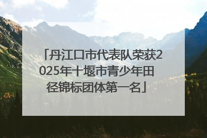 丹江口市代表队荣获2025年十堰市青少年田径锦标团体第一名