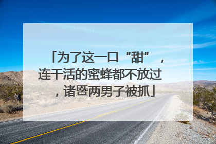 为了这一口“甜”，连干活的蜜蜂都不放过，诸暨两男子被抓