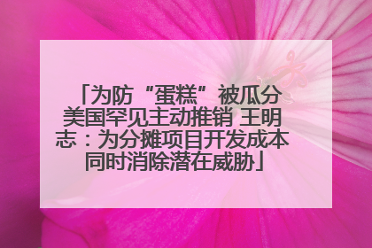 为防“蛋糕”被瓜分 美国罕见主动推销 王明志：为分摊项目开发成本同时消除潜在威胁