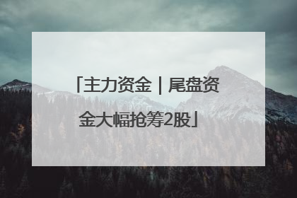 主力资金｜尾盘资金大幅抢筹2股