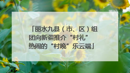 丽水九县（市、区）组团向新疆推介“村礼” 热闹的“村晚”乐云端