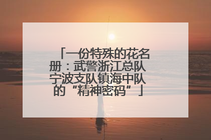 一份特殊的花名册：武警浙江总队宁波支队镇海中队的“精神密码”