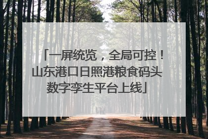 一屏统览，全局可控！山东港口日照港粮食码头数字孪生平台上线