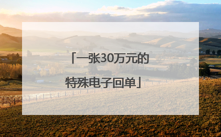 一张30万元的特殊电子回单