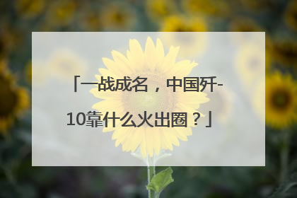 一战成名，中国歼-10靠什么火出圈？