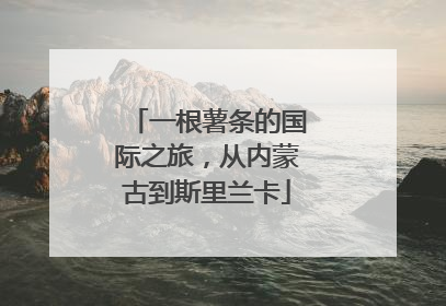 一根薯条的国际之旅，从内蒙古到斯里兰卡