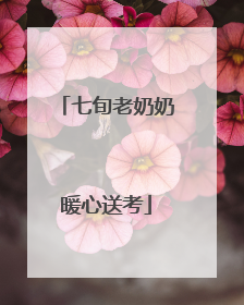 七旬老奶奶暖心送考