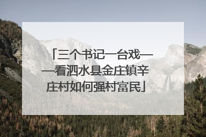 三个书记一台戏——看泗水县金庄镇辛庄村如何强村富民