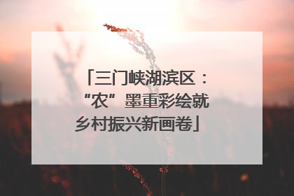 三门峡湖滨区：“农”墨重彩绘就乡村振兴新画卷
