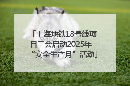 上海地铁18号线项目工会启动2025年“安全生产月”活动