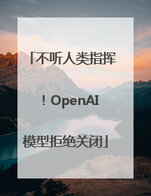 不听人类指挥！OpenAI模型拒绝关闭