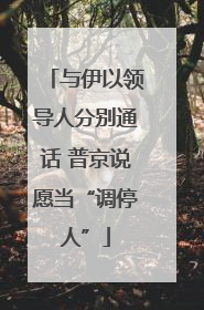 与伊以领导人分别通话 普京说愿当“调停人”