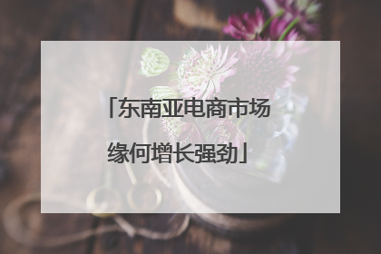 东南亚电商市场缘何增长强劲