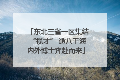 东北三省一区集结“揽才” 逾八千海内外博士奔赴而来