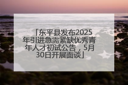 东平县发布2025年引进急需紧缺优秀青年人才初试公告，5月30日开展面谈