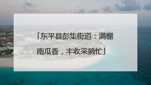 东平县彭集街道：满棚南瓜香，丰收采摘忙