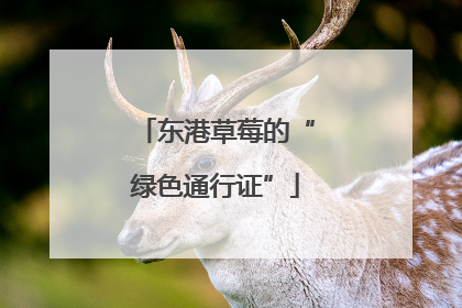 东港草莓的“绿色通行证”
