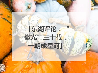 东湖评论：“微光”三十载，一朝成星河