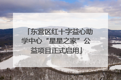 东营区红十字益心助学中心“星星之家”公益项目正式启用