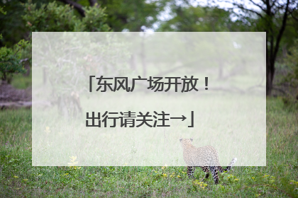 东风广场开放！出行请关注→