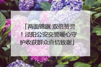 两面锦旗 双倍赞誉！泾阳公安交警暖心守护收获群众真情致谢