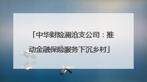 中华财险澜沧支公司：推动金融保险服务下沉乡村