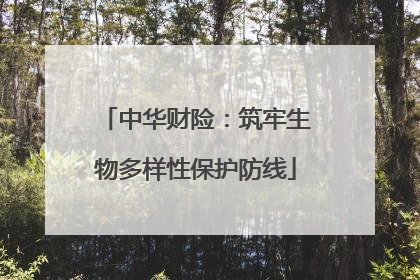中华财险：筑牢生物多样性保护防线