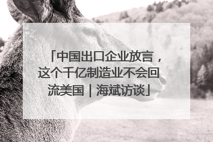 中国出口企业放言，这个千亿制造业不会回流美国｜海斌访谈