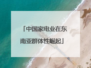 中国家电业在东南亚群体性崛起