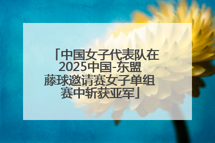 中国女子代表队在2025中国-东盟藤球邀请赛女子单组赛中斩获亚军