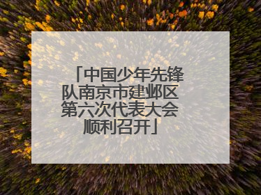 中国少年先锋队南京市建邺区第六次代表大会顺利召开