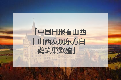 中国日报看山西｜山西发现东方白鹳筑巢繁殖