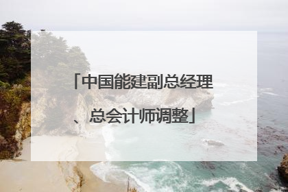 中国能建副总经理、总会计师调整