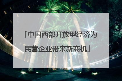 中国西部开放型经济为民营企业带来新商机