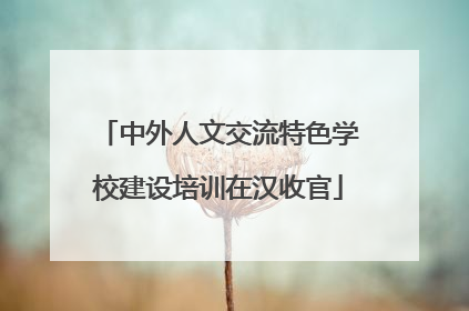 中外人文交流特色学校建设培训在汉收官
