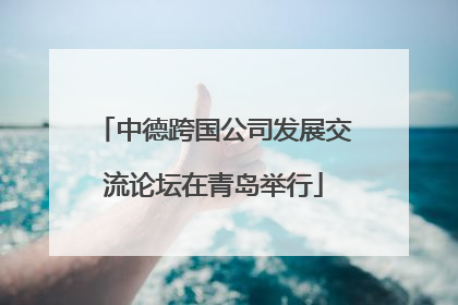 中德跨国公司发展交流论坛在青岛举行