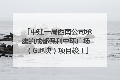 中建一局西南公司承建的成都保利中环广场（G地块）项目竣工