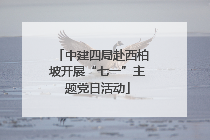 中建四局赴西柏坡开展“七一”主题党日活动