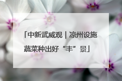 中新武威观｜凉州设施蔬菜种出好“丰”景