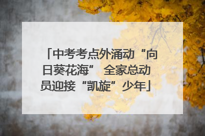 中考考点外涌动“向日葵花海” 全家总动员迎接“凯旋”少年