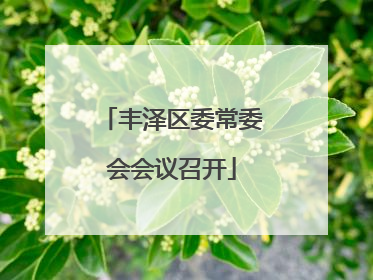 丰泽区委常委会会议召开
