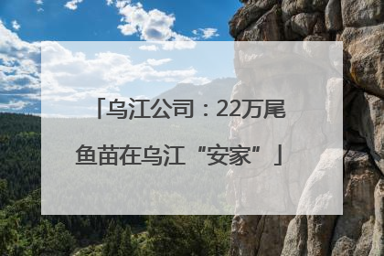 乌江公司：22万尾鱼苗在乌江“安家”