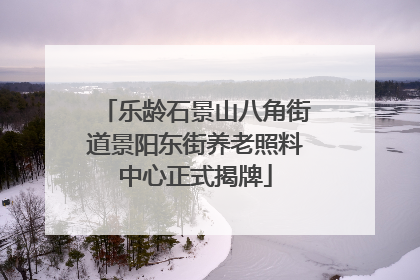 乐龄石景山八角街道景阳东街养老照料中心正式揭牌