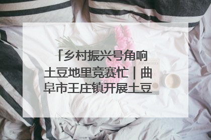 乡村振兴号角响 土豆地里竞赛忙｜曲阜市王庄镇开展土豆收获劳动竞赛