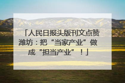 人民日报头版刊文点赞潍坊：把“当家产业”做成“担当产业”！