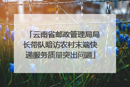 云南省邮政管理局局长带队暗访农村末端快递服务质量突出问题