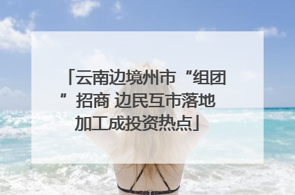 云南边境州市“组团”招商 边民互市落地加工成投资热点